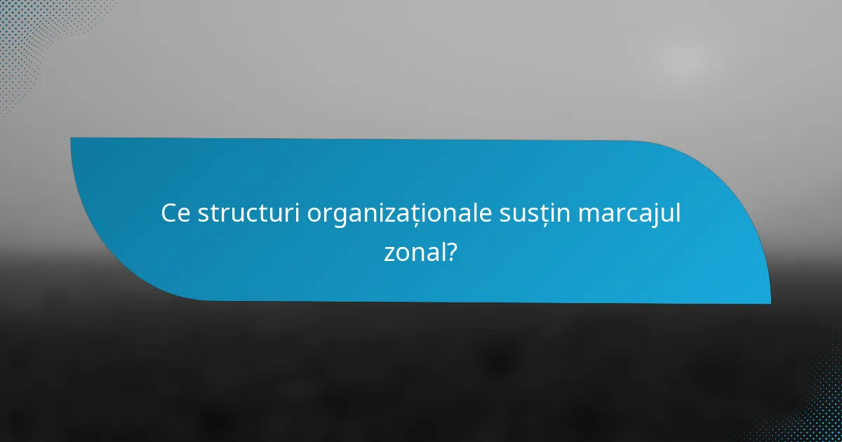 Ce structuri organizaționale susțin marcajul zonal?