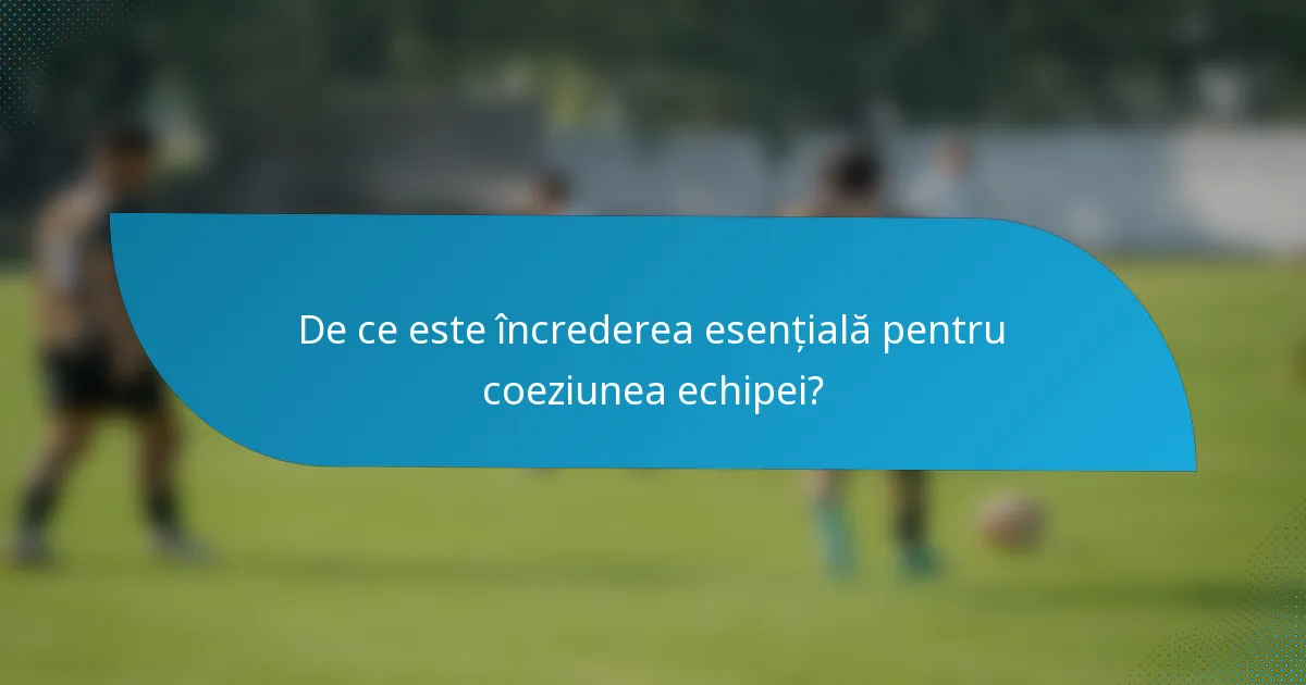 De ce este încrederea esențială pentru coeziunea echipei?
